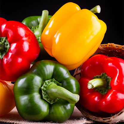 Pimiento
